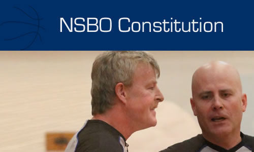 NSBOButtonConstitution500_200-1