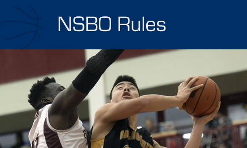 NSBOButtonRules500_200